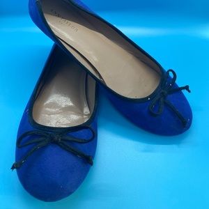 Ann Taylor Blue Shoes